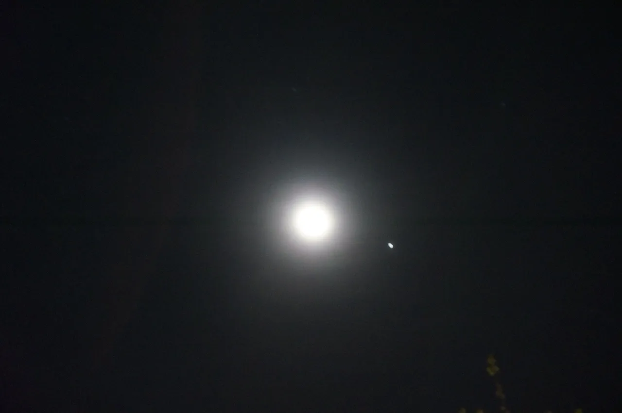 DSC09269.JPG