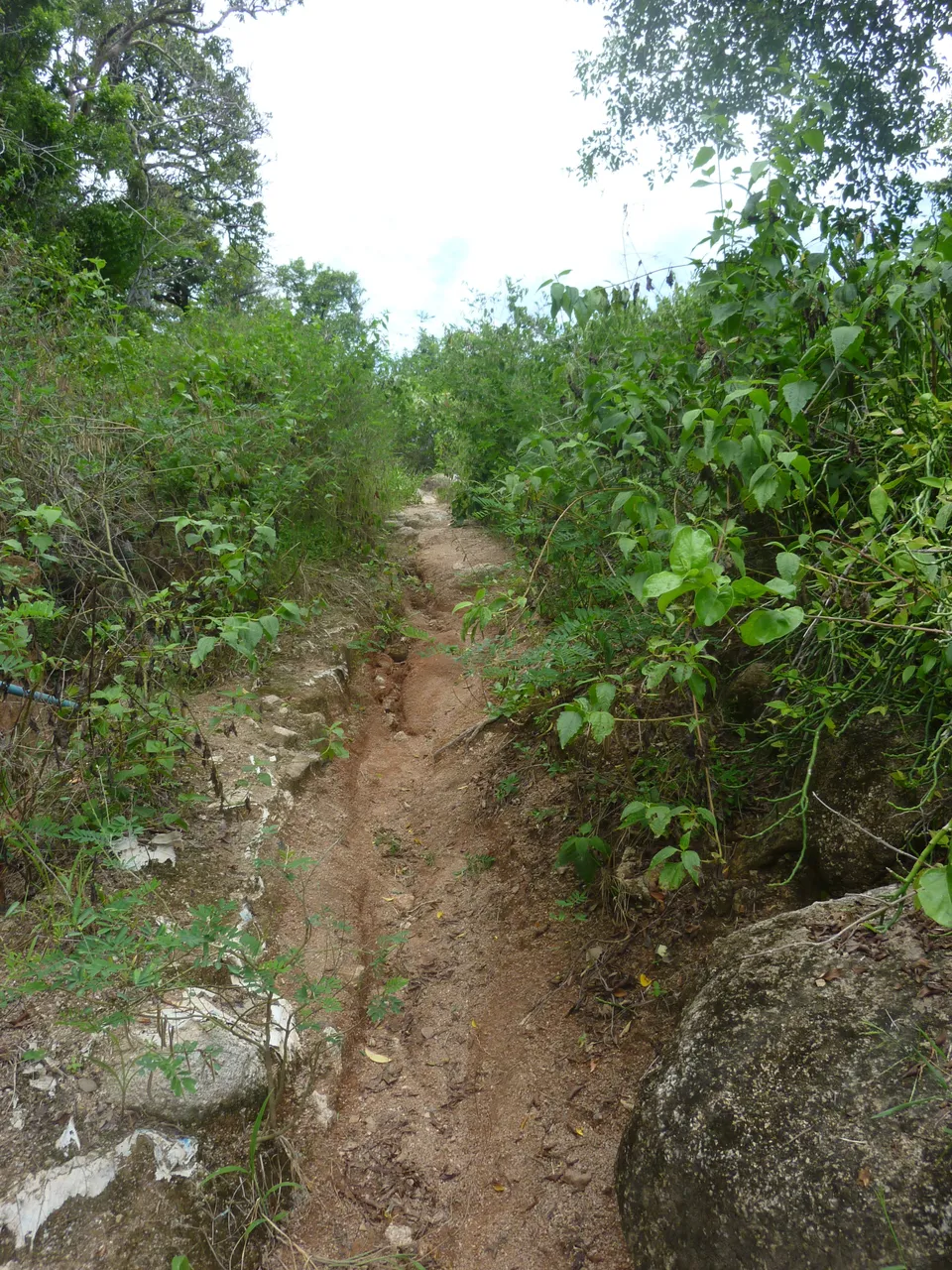 P1080436.JPG