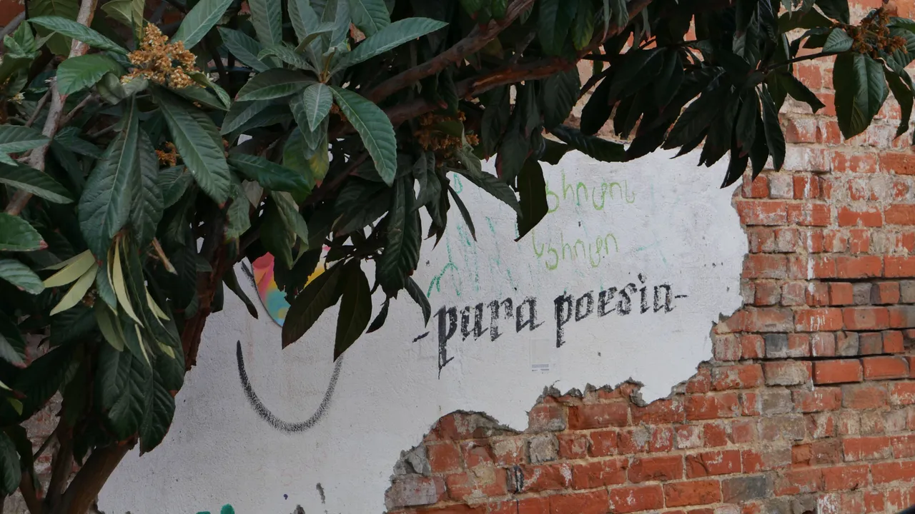 P1030342.JPG