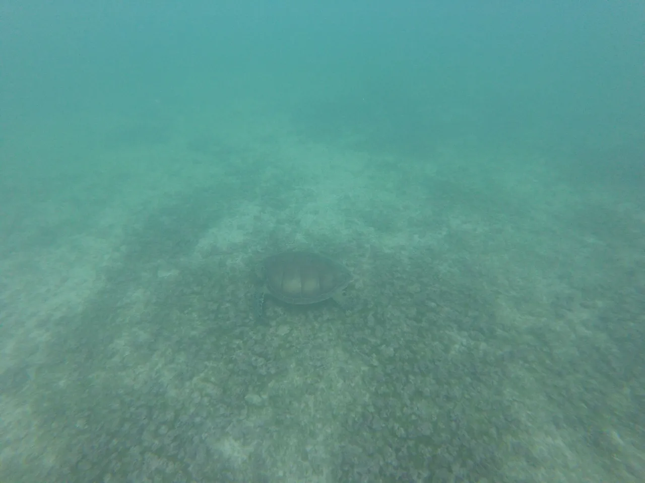 GOPR0178.JPG