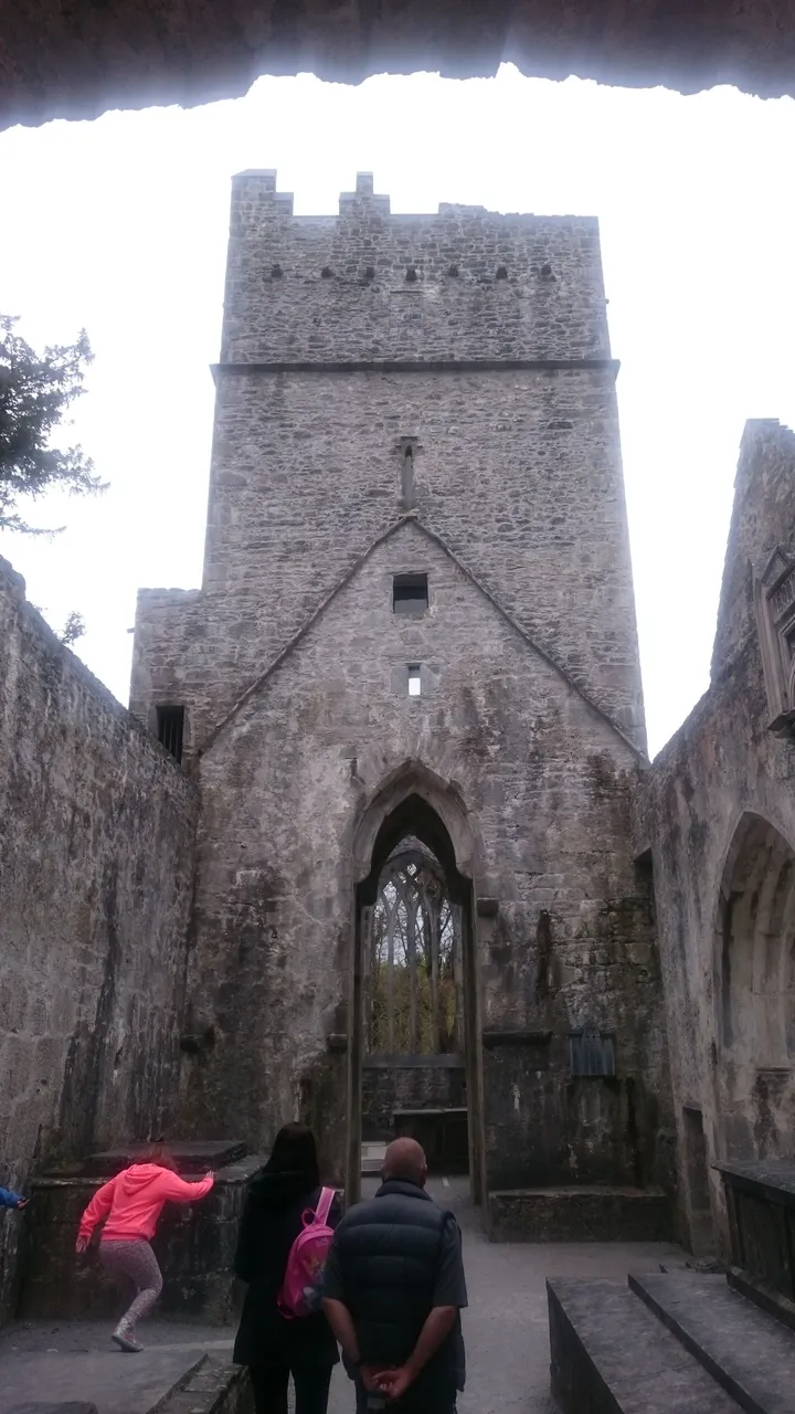 DSC_1154.JPG