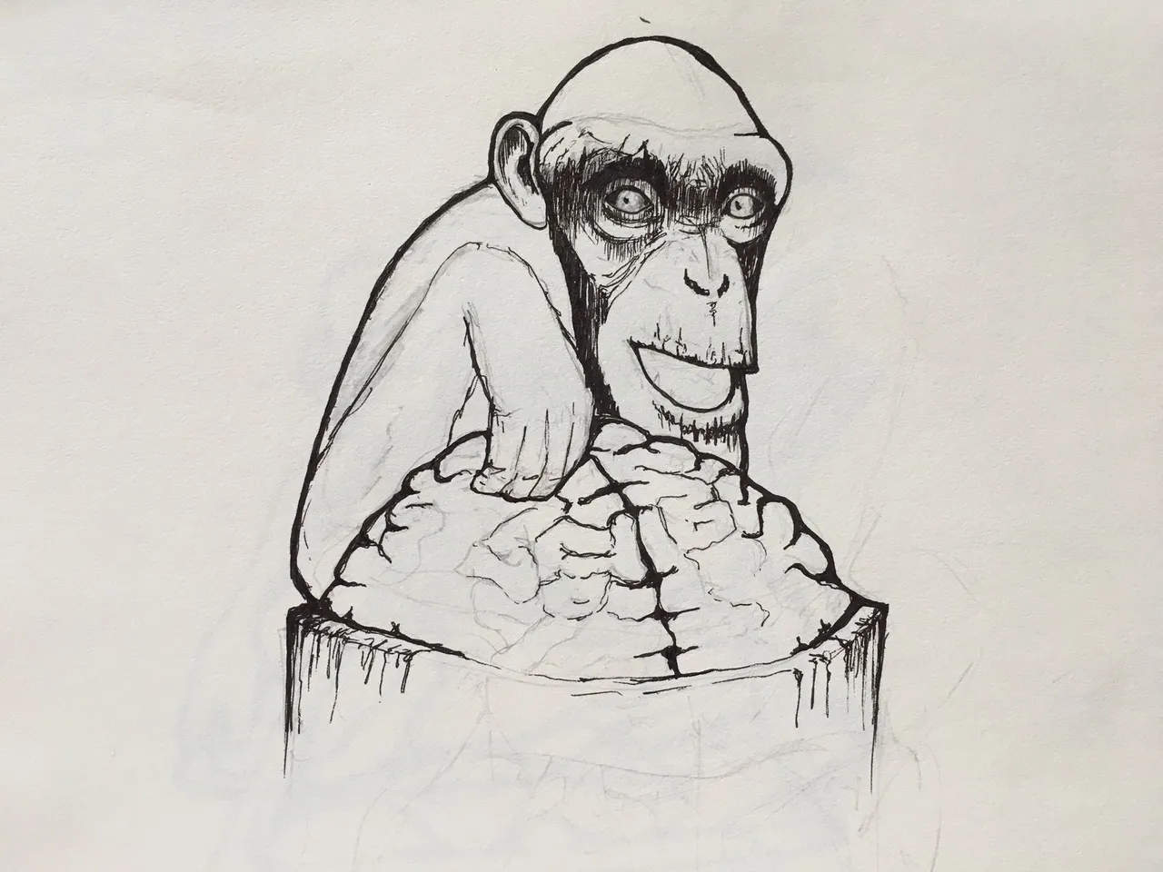 main_image
