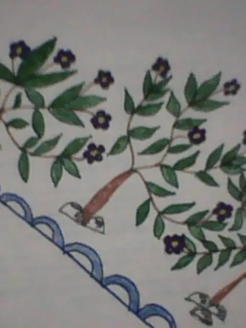 IMG0033A.jpg