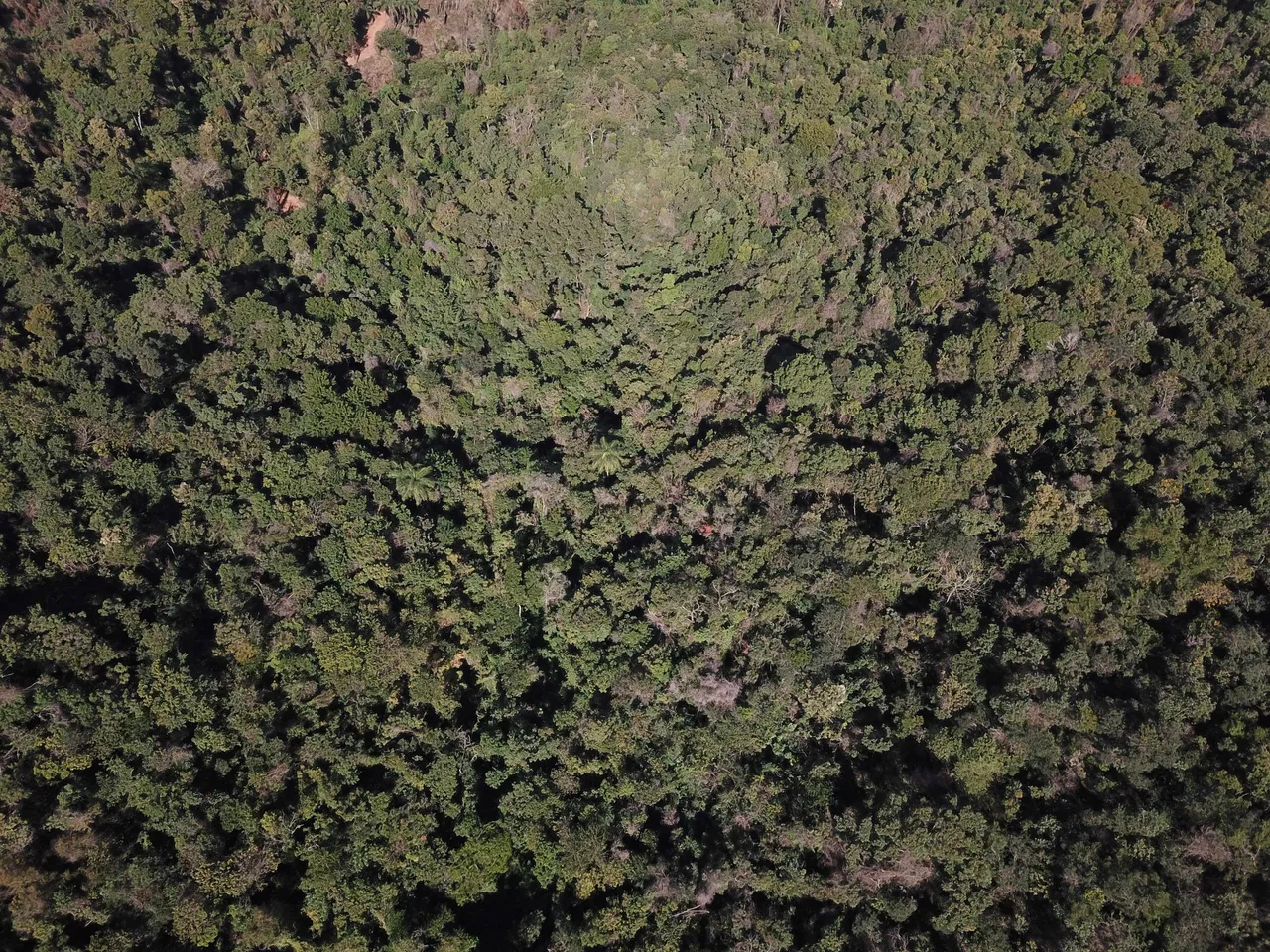 DJI_0026.jpg