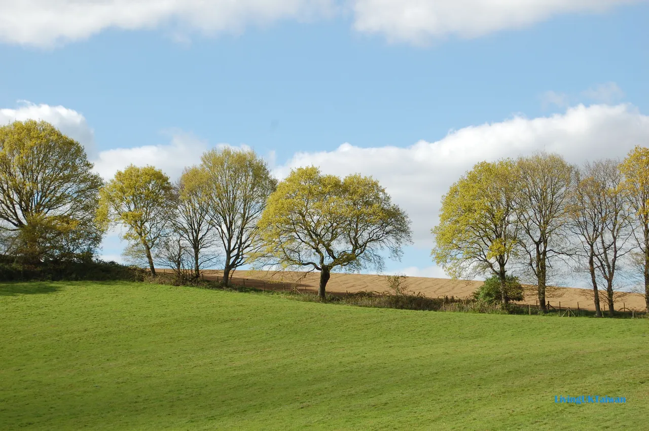 DSC_0054.jpg