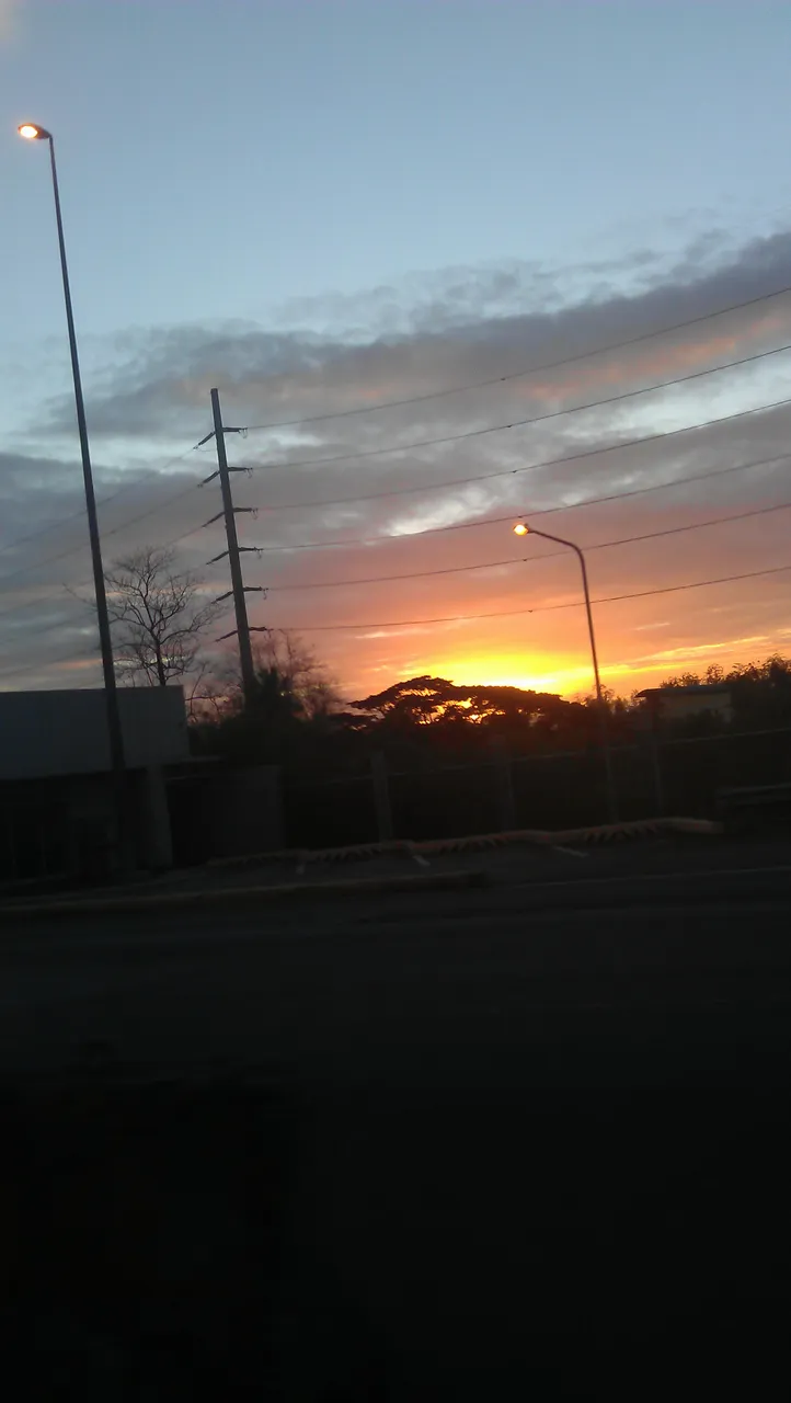 IMAG0542.jpg