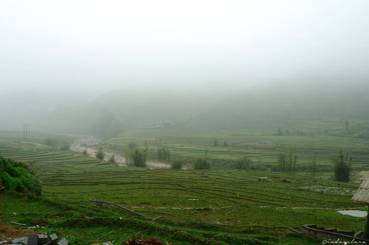 DSCF3287.JPG