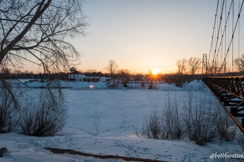 DSC_4769.jpg