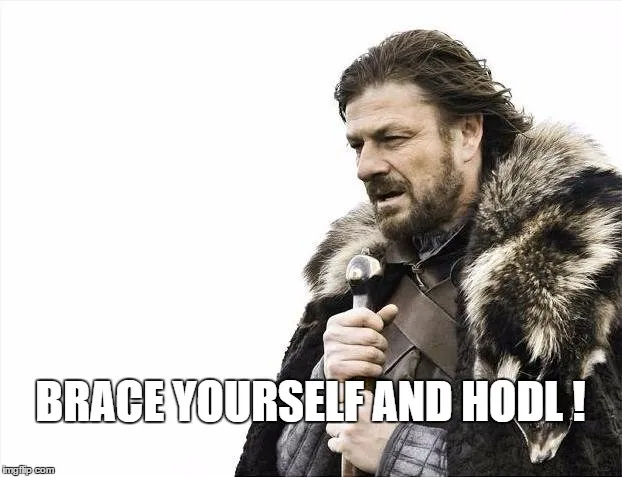 hodl 2.jpg