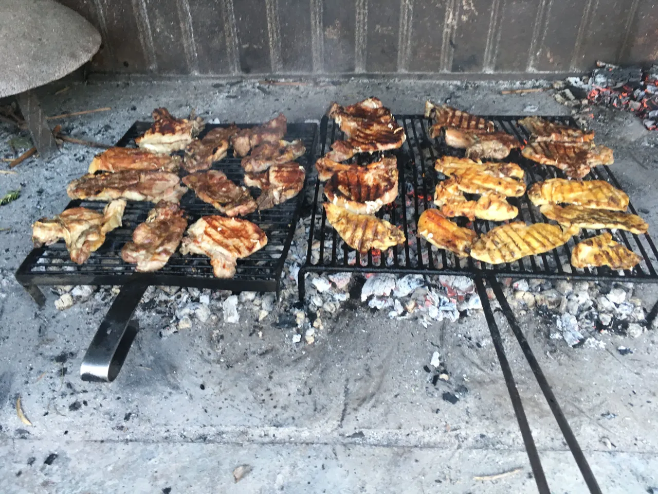 IMG_9528.JPG