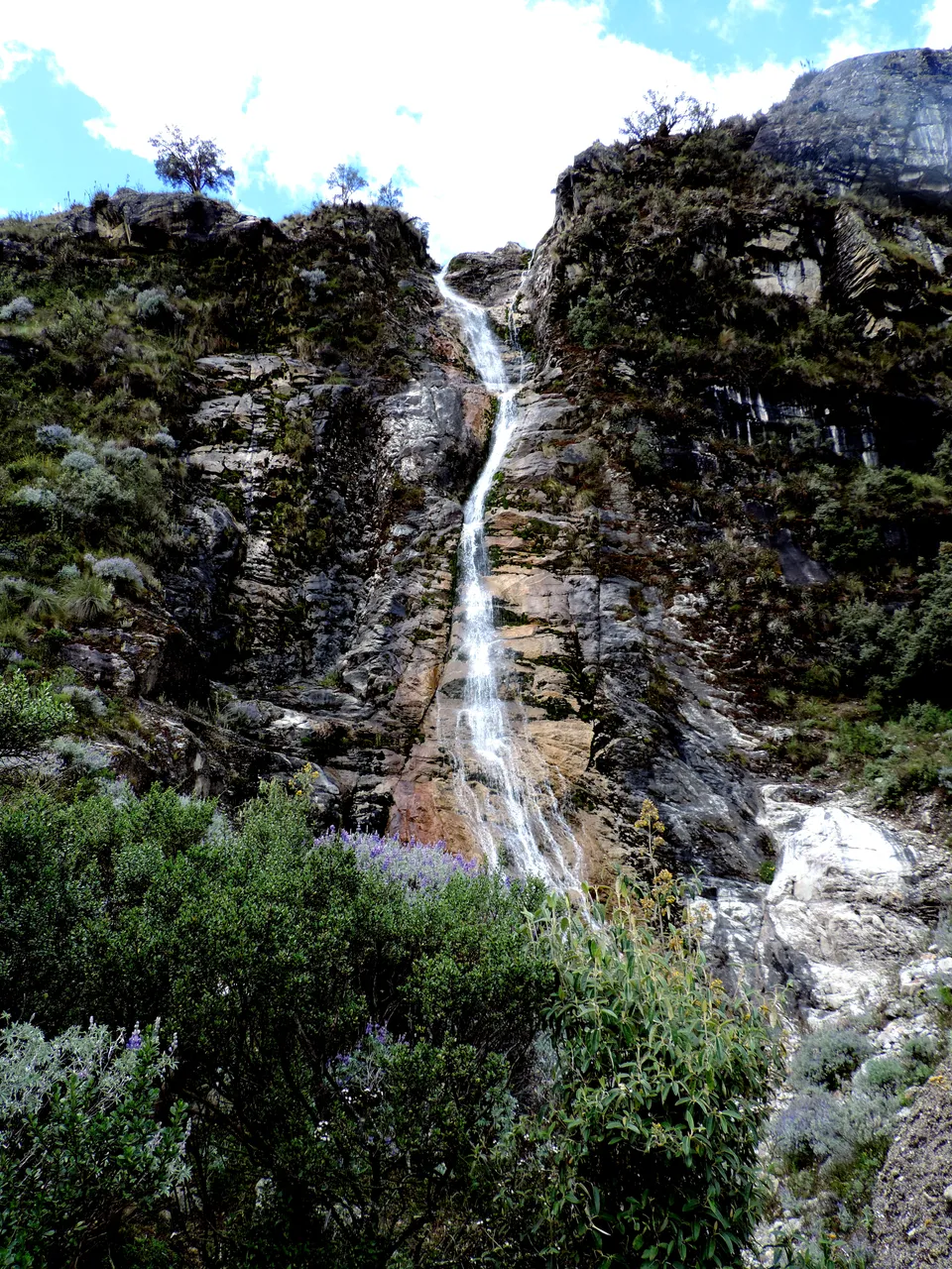 DSCN9553.jpg