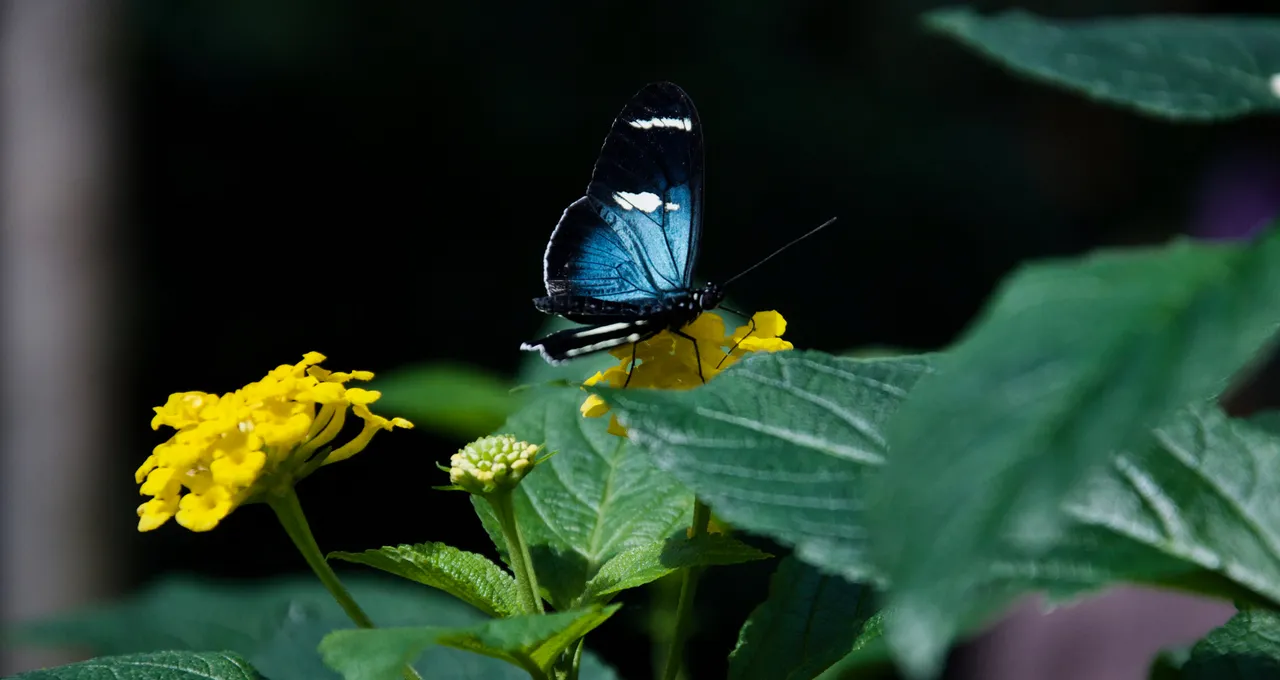 DSC_1588.jpg
