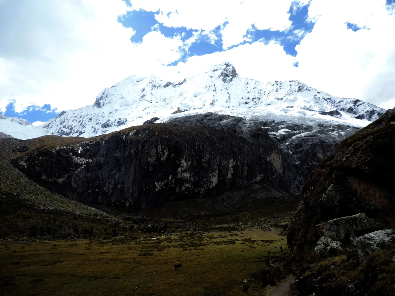 DSCN9558.jpg