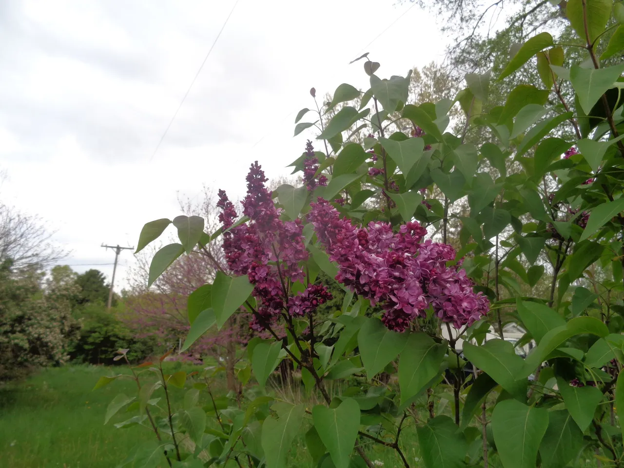 DSC00150.JPG