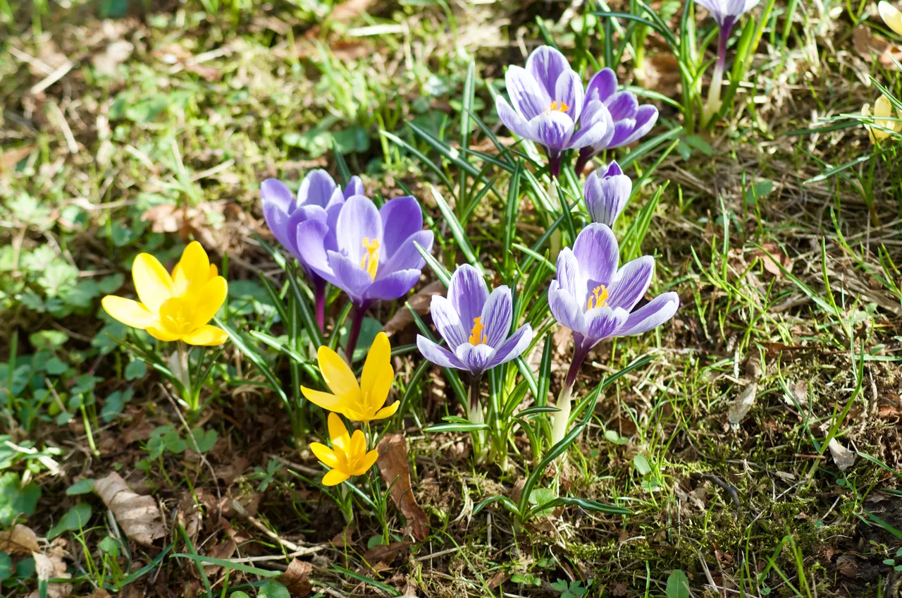 DSC_3489.jpg