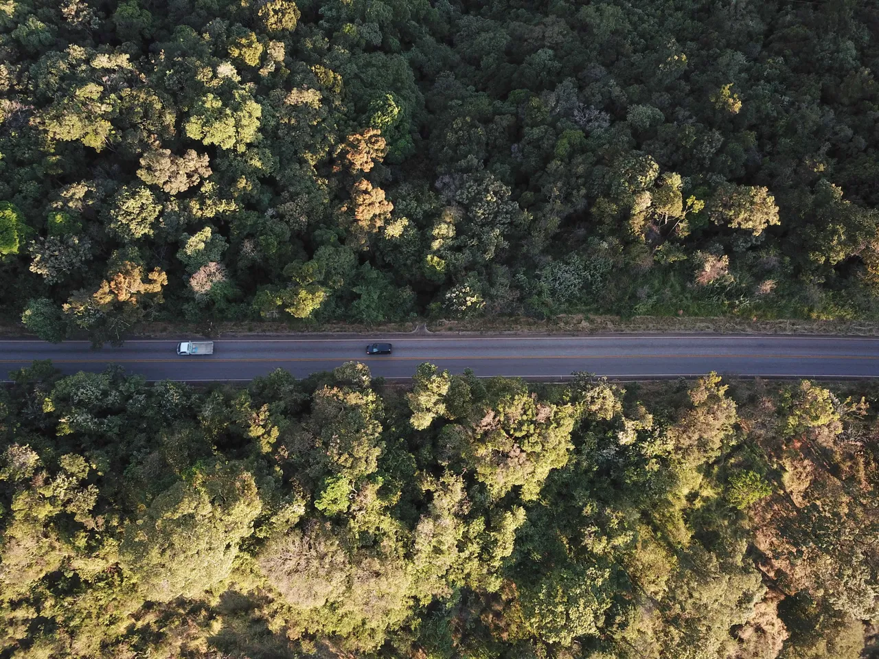 DJI_0161.jpg