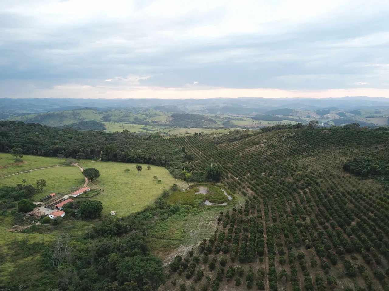 DJI_0051.jpg