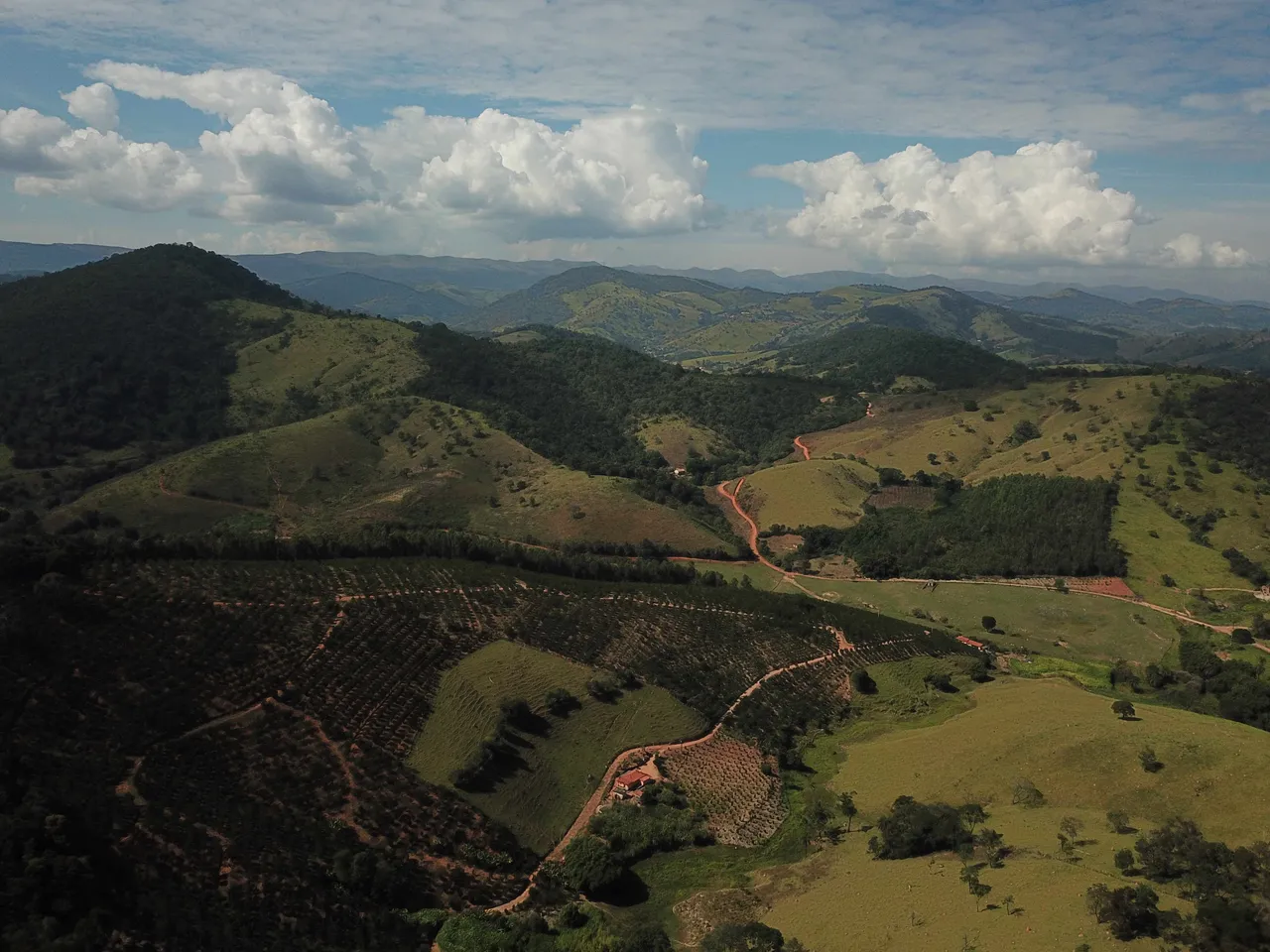 DJI_0004.jpg