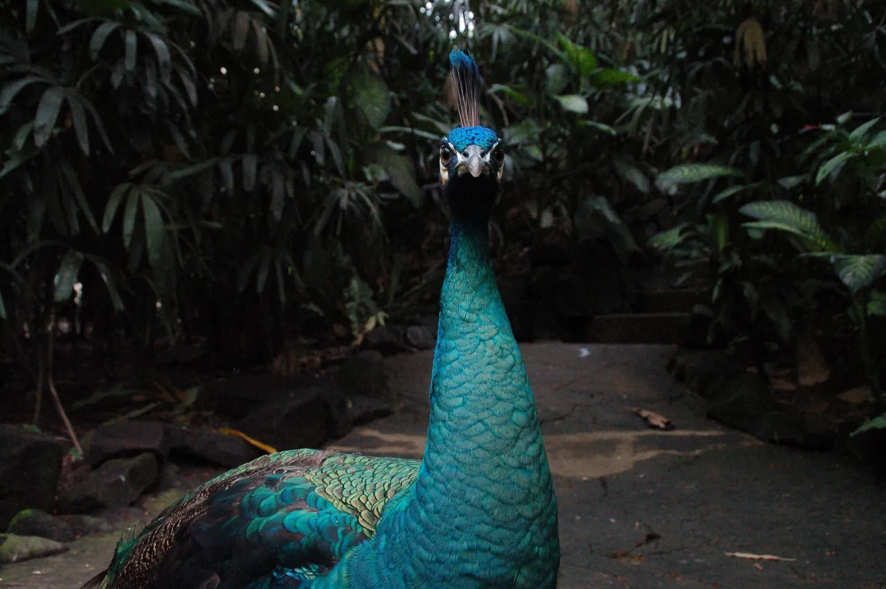 DSC_1554.JPG