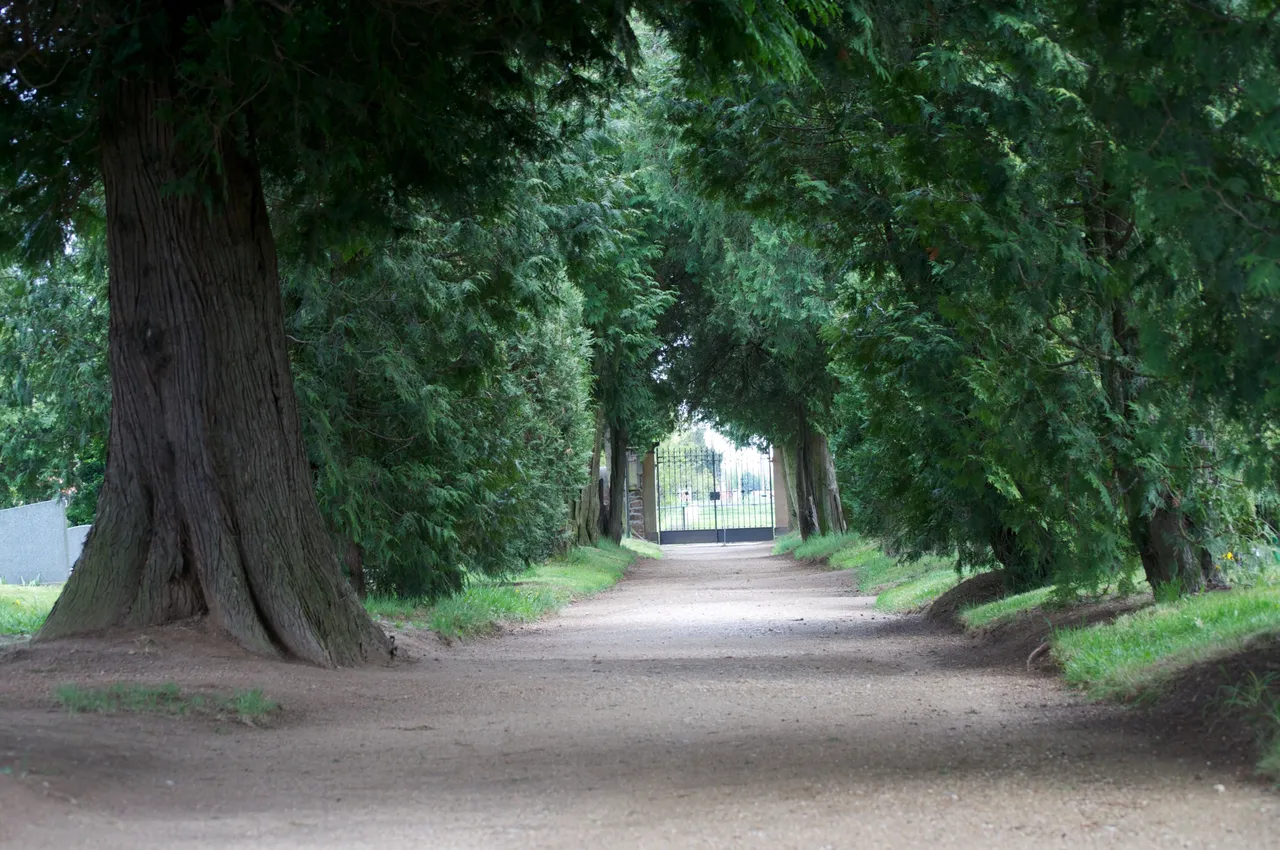 DSC_1266.jpg