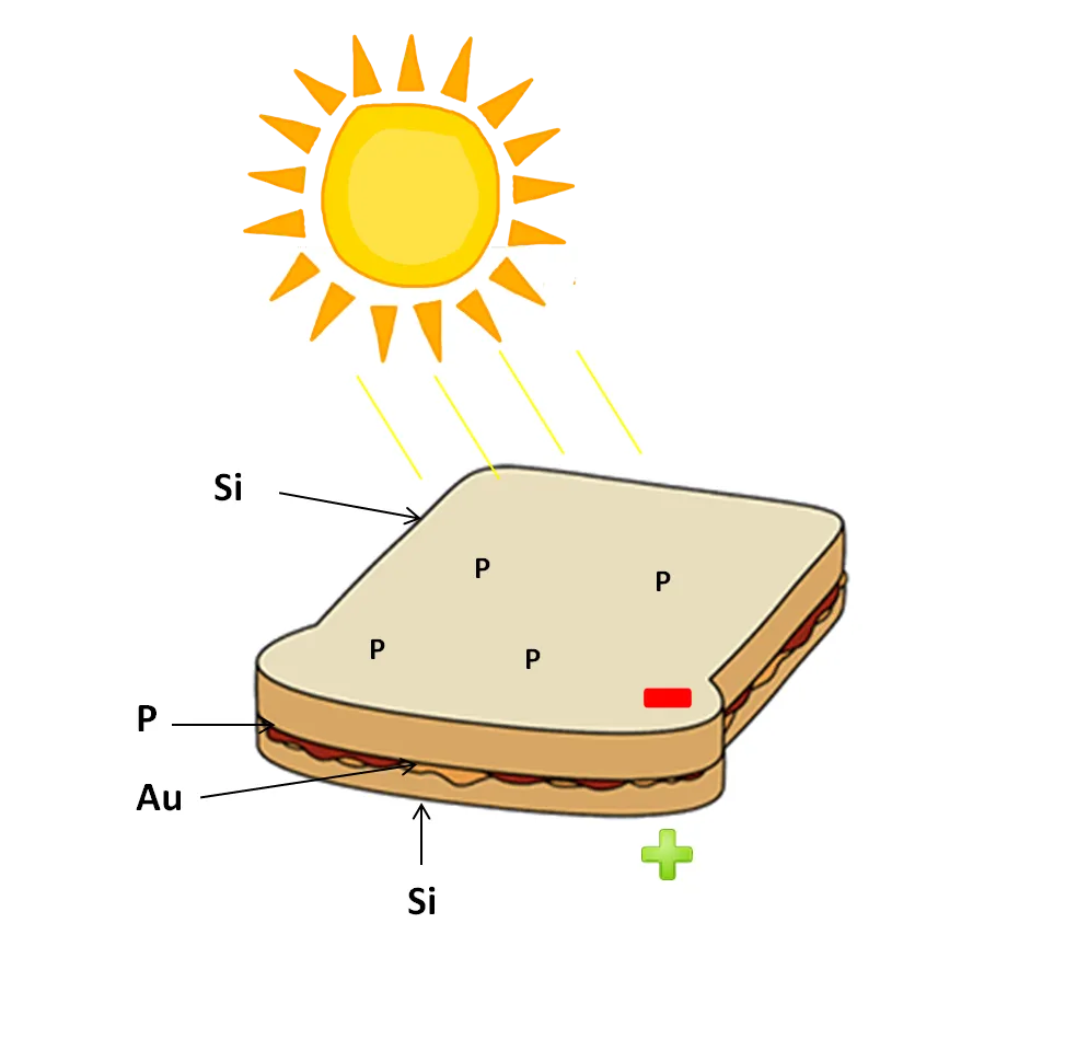 sandwich.png