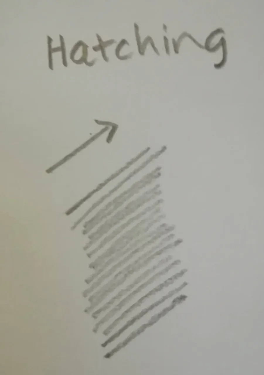hatching.jpg
