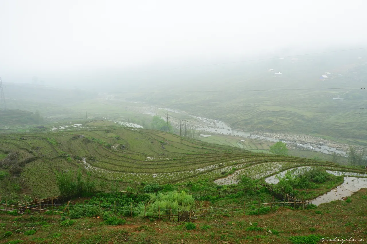DSCF3318.JPG
