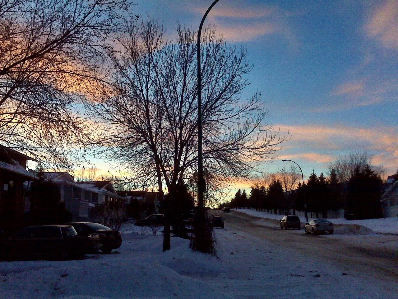 IMG00478.jpg