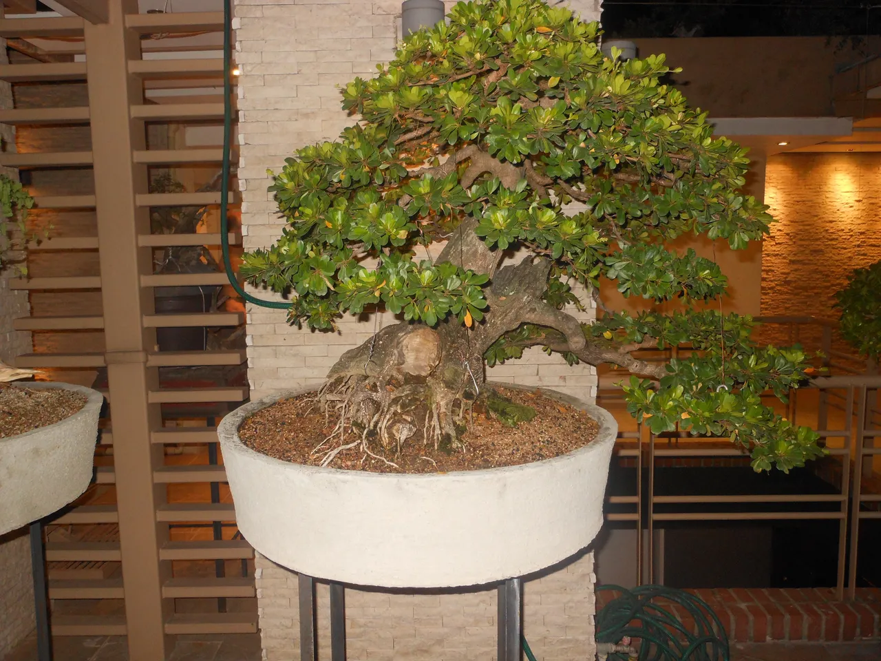 DSCN4136.JPG