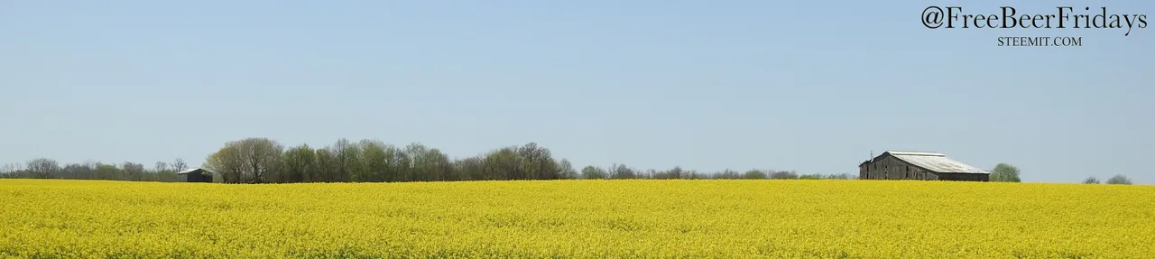 DSCN2288.jpg