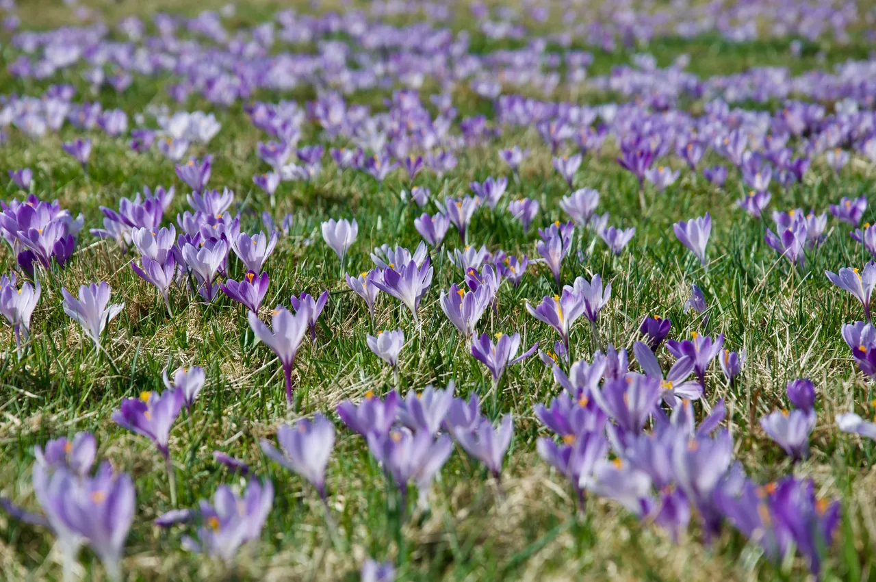 DSC_0835.jpg