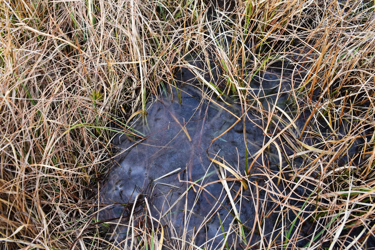 DSC_5001.jpg