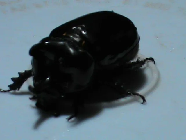 DSC00392.JPG