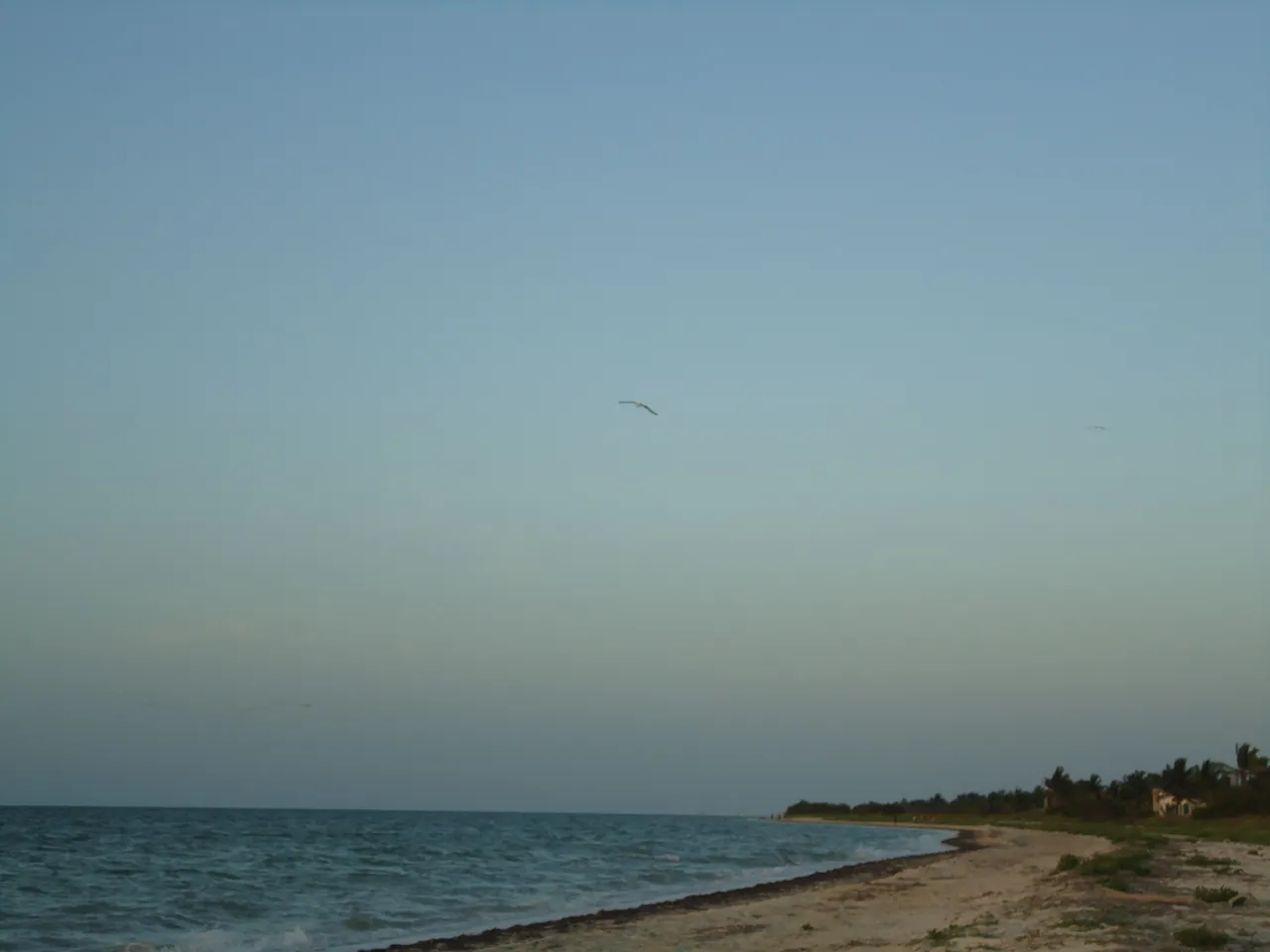 DSC04681.JPG