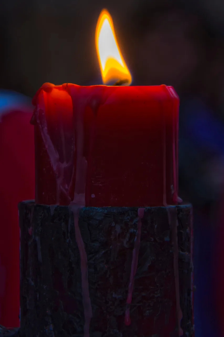 DSC_7511.jpg
