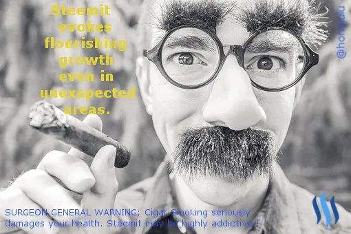 steemit1.png