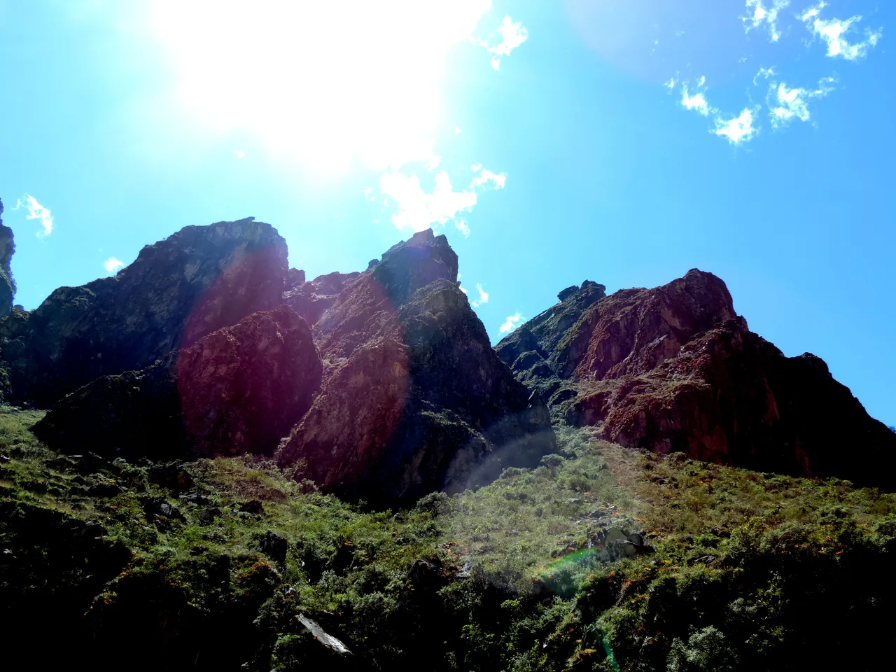 DSCN9206.jpg