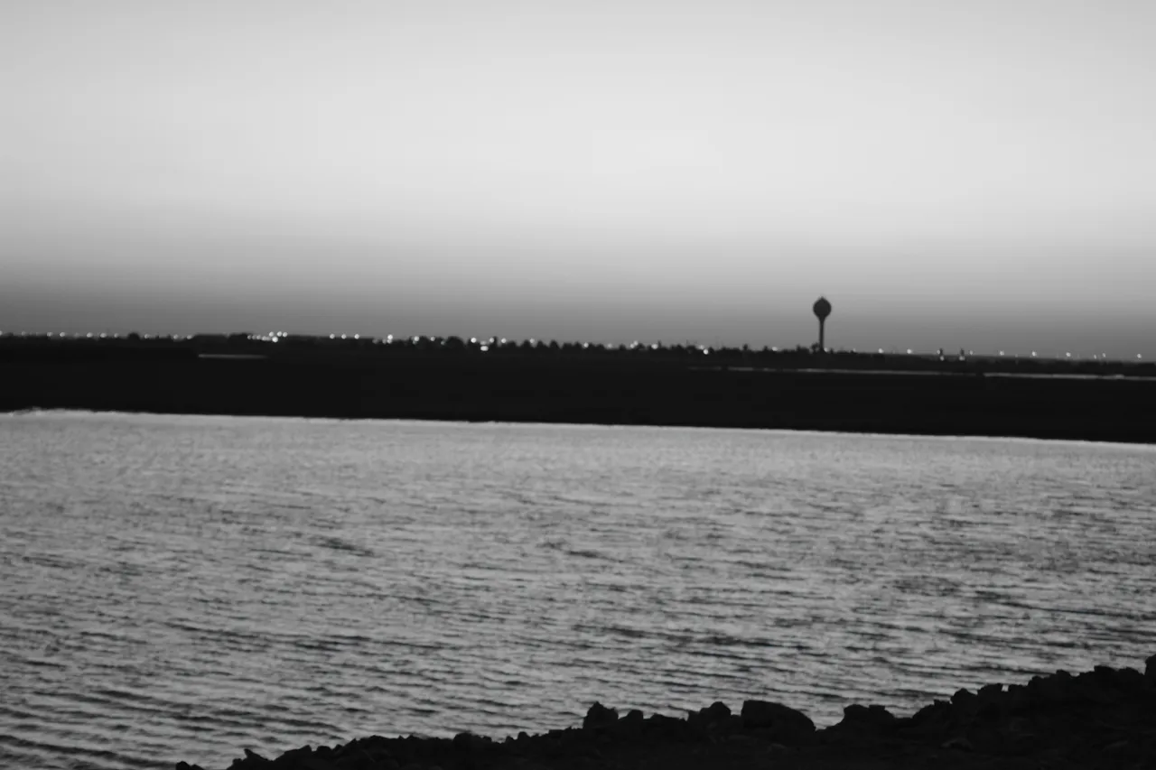 DSC_0294.JPG