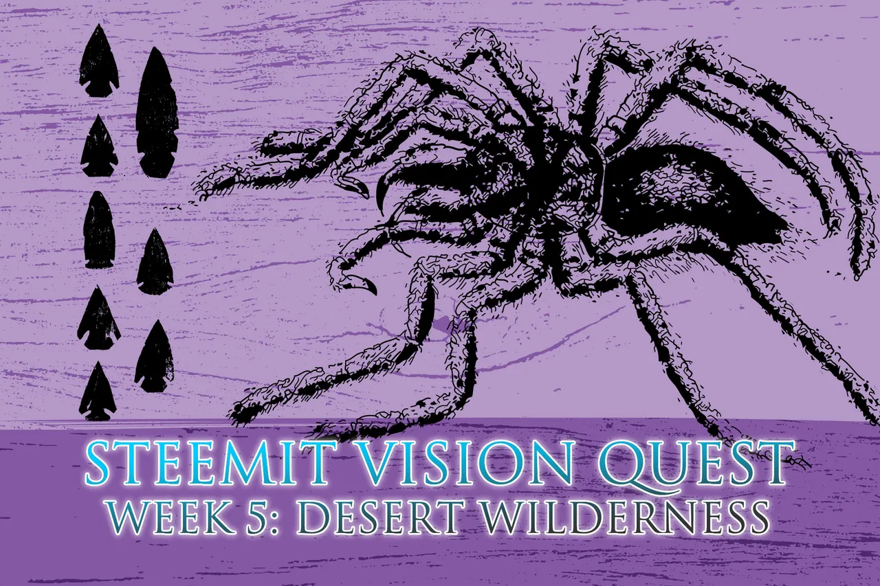 Steemit Vision Quest - Week 5: Desert Wilderness