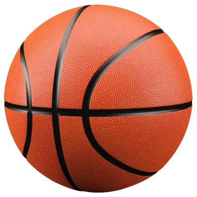 Image result for basketball