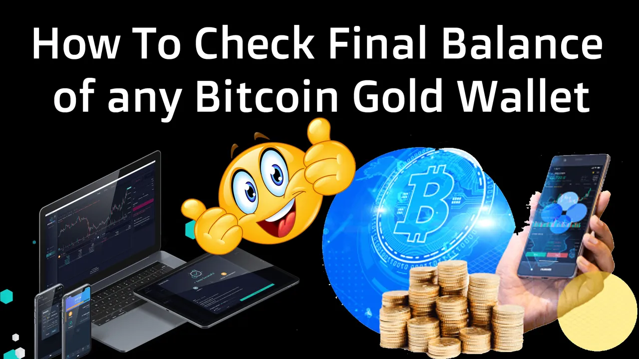 How To Check Final Balance of any Bitcoin Gold Wallet by Crypto Wallets Info.jpg