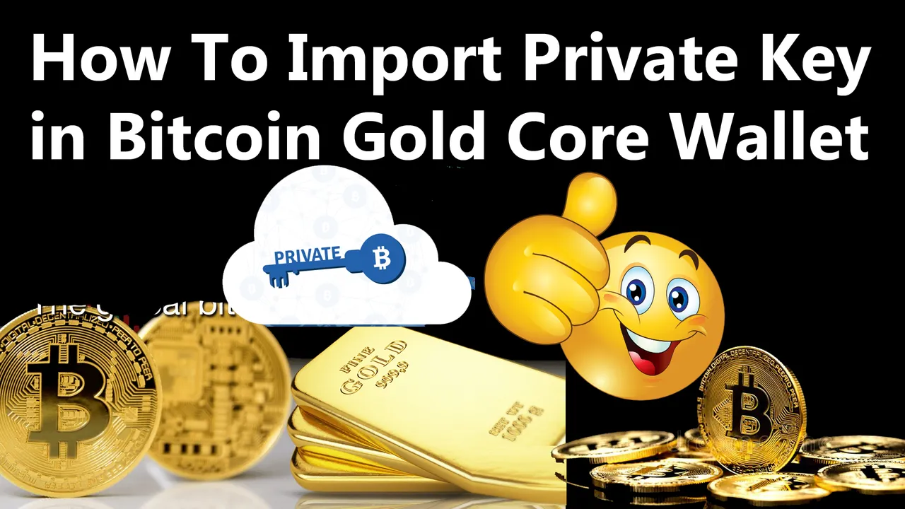 How To Import Private Key in Bitcoin Gold Core Wallet by Crypto Wallets Info.jpg