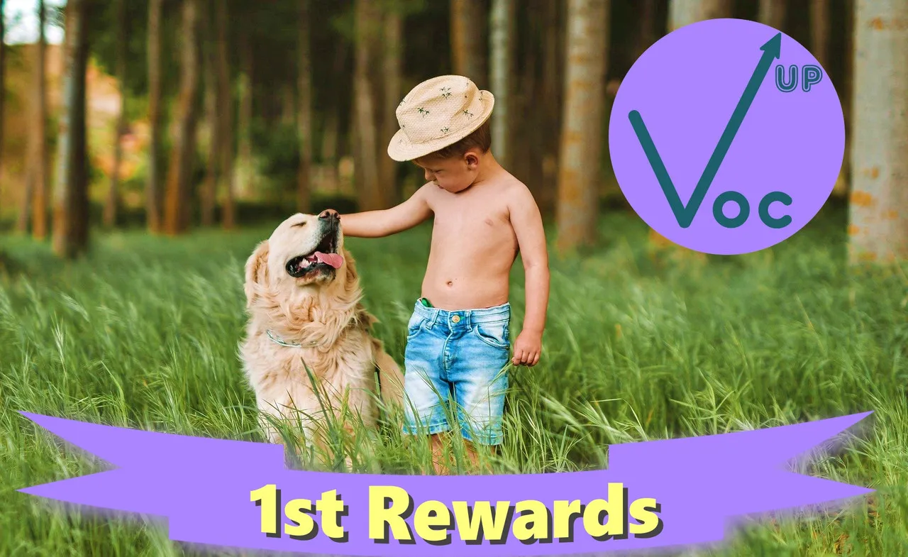 Vocup 1st Rewards
