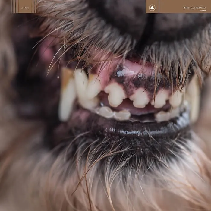 cover for blanck mass's 'world eater'