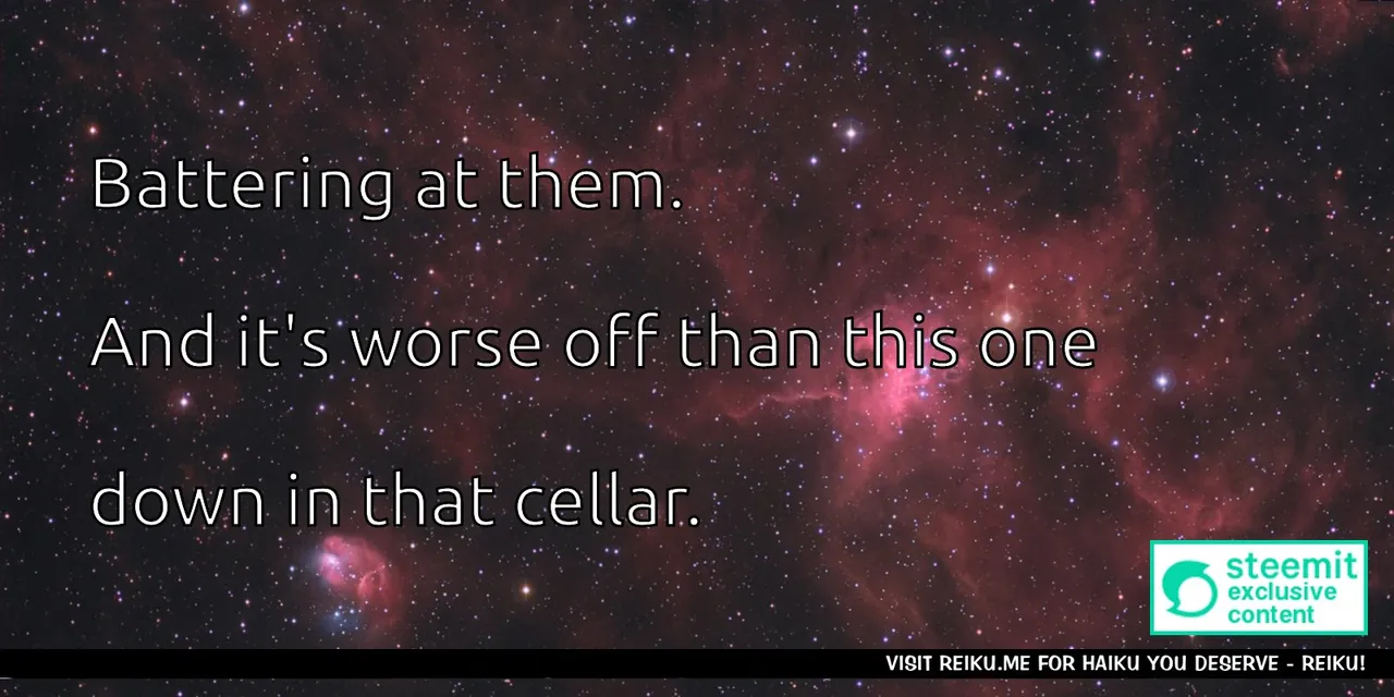 Reiku Haiku