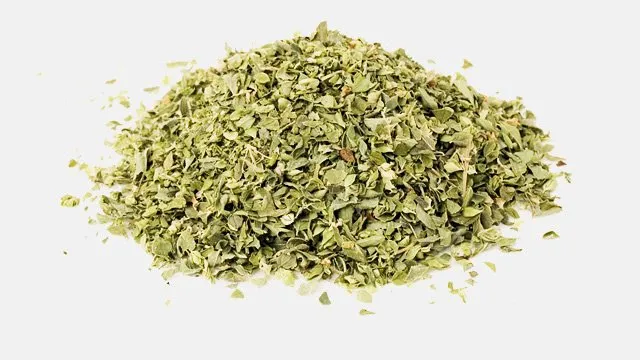 OREGANO.jpg