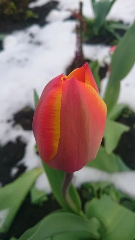 DSC_3365.jpg