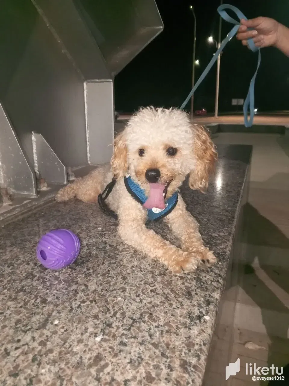 GxSquACymPsWHgNL_photo_2024-10-23_17-59-53.webp