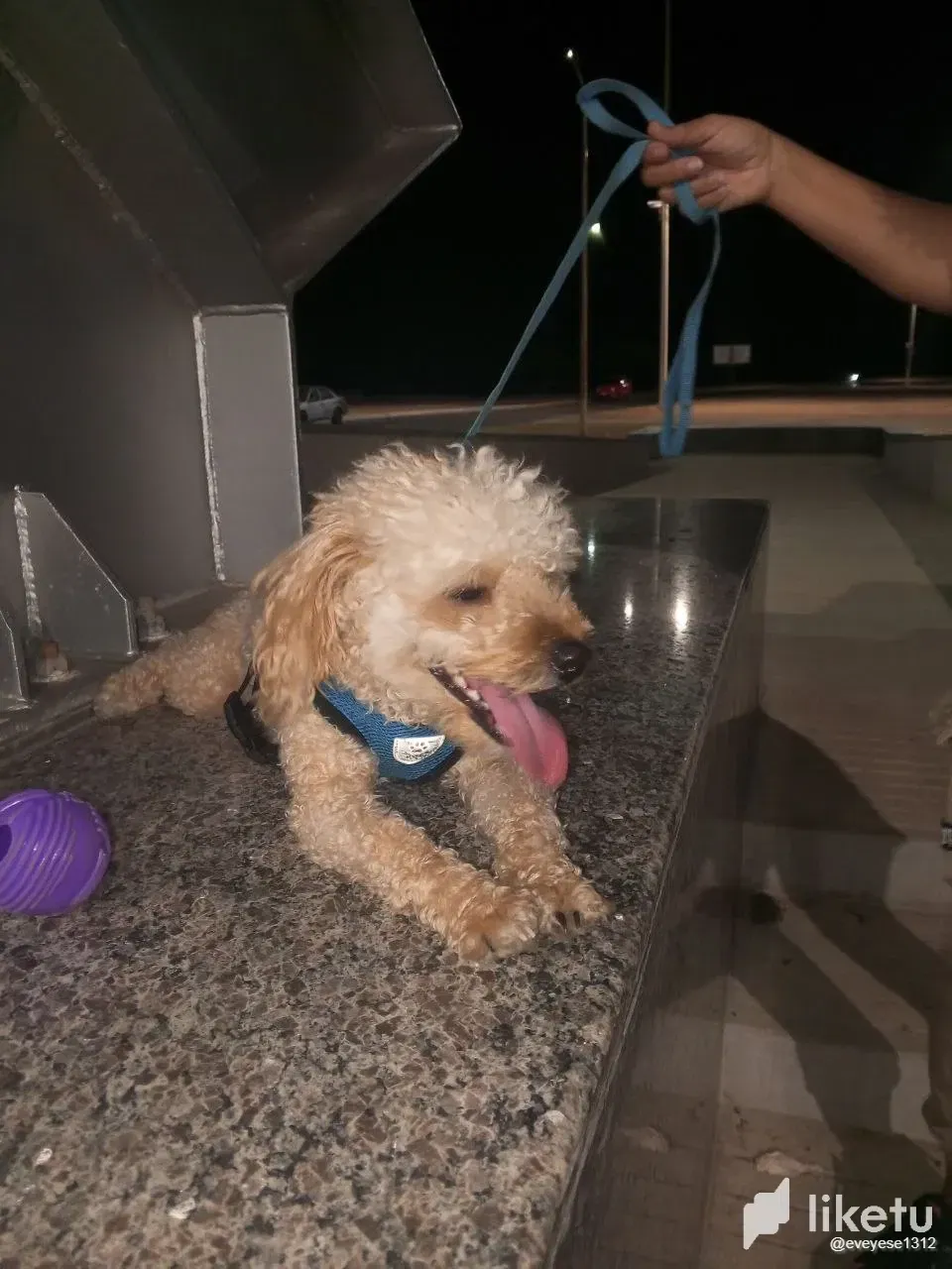 oLvlHdHmTHZduILW_photo_2024-10-23_17-59-58.webp
