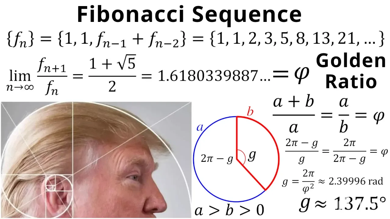 z2TmIXlYFxtPwVpb_18_Fibonacci_and_Golden_Ratio.webp